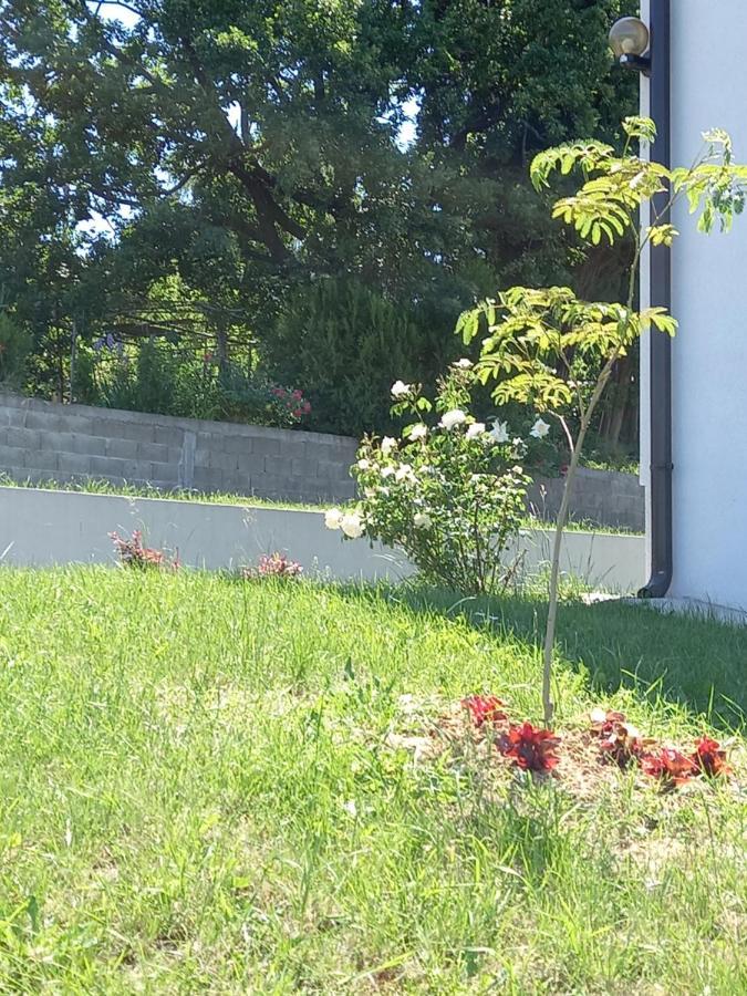 Fruskogorska Idila Apartmani فردنيك المظهر الخارجي الصورة