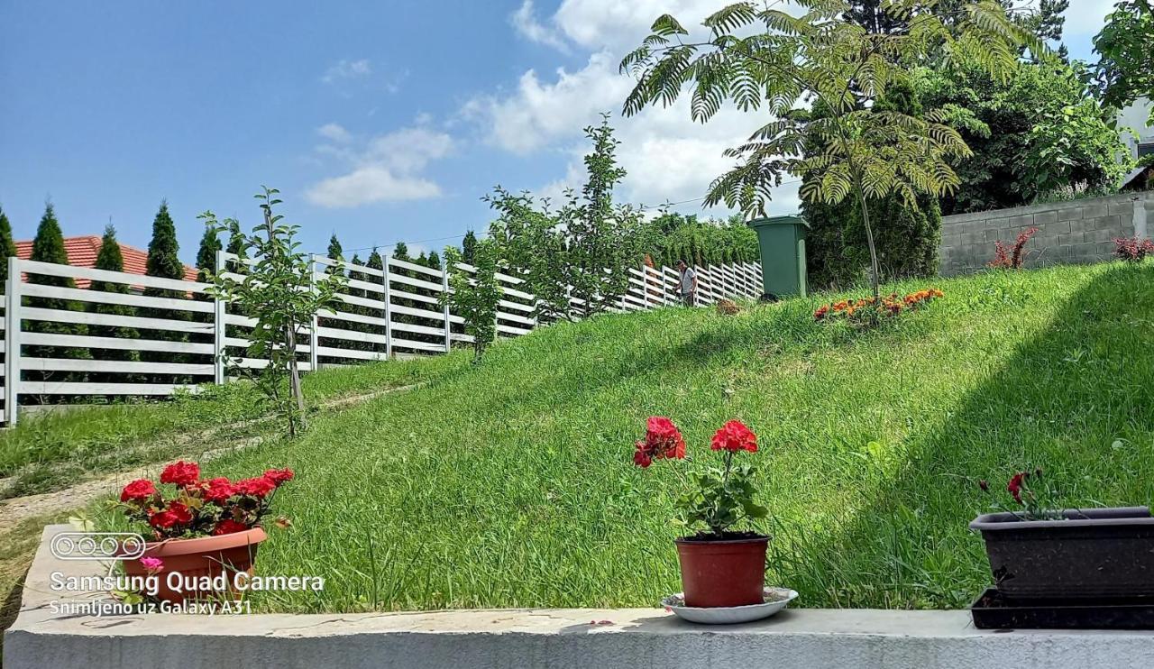 Fruskogorska Idila Apartmani فردنيك المظهر الخارجي الصورة